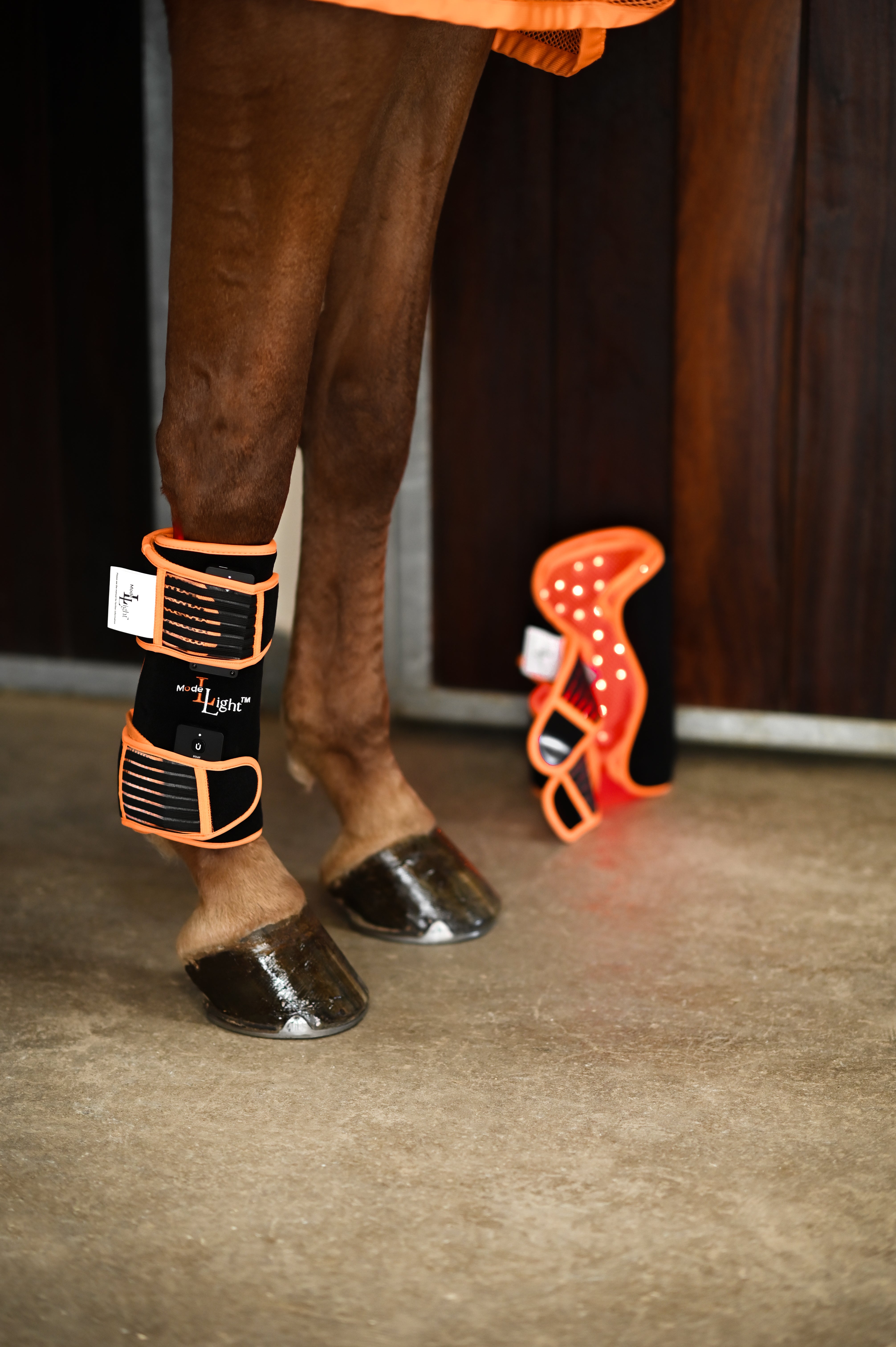 Led Treatment Pad PEMF Equine